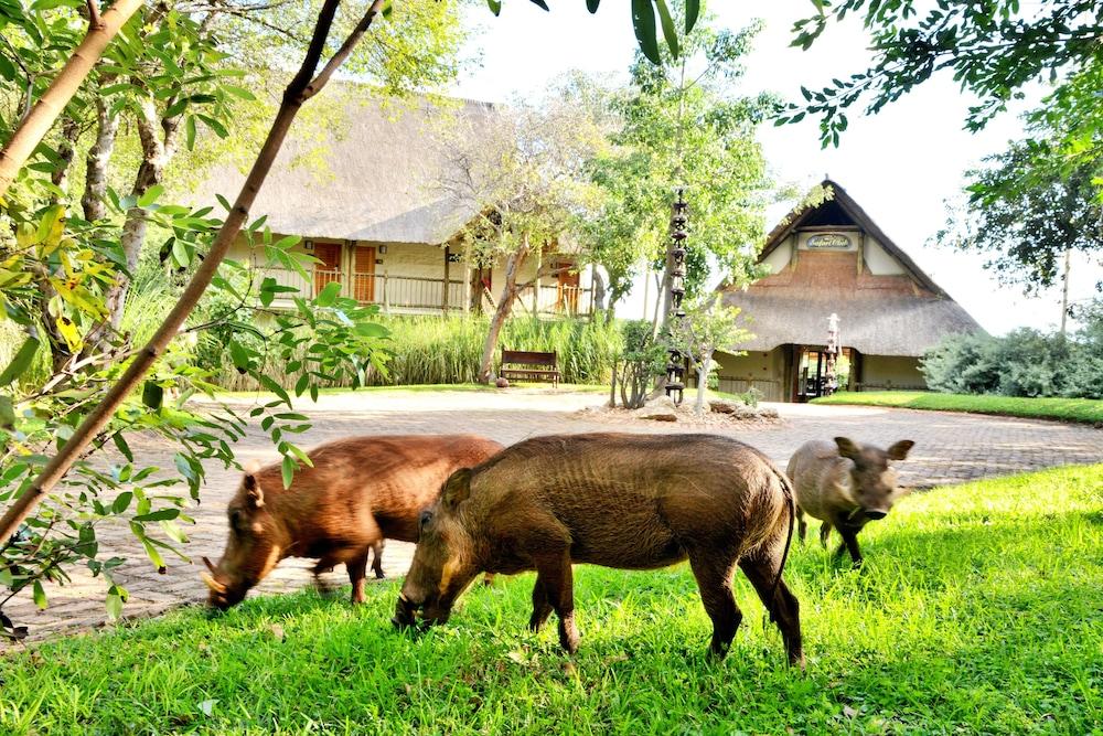 Victoria Falls Safari Club Екстериор снимка